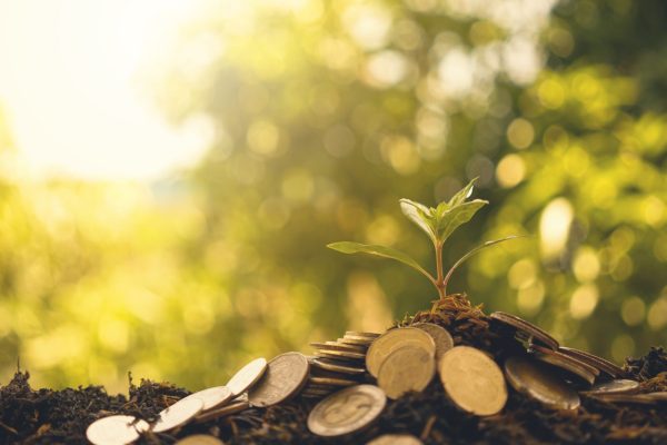 pension advice